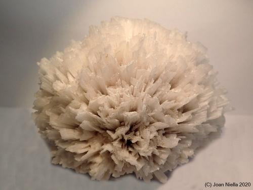 Escolecita<br />Distrito Jalgaon, Maharashtra, India<br />10 x 8 cm<br /> (Autor: Joan Niella)