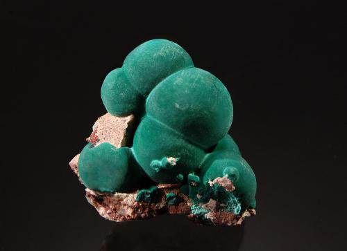 Malachite<br />Mina Morenci, Northwest Extension, Morenci, Distrito Copper Mountain, Montes Shannon, Condado Greenlee, Arizona, USA<br />4.1 cm x 4.2 cm<br /> (Author: Michael Shaw)