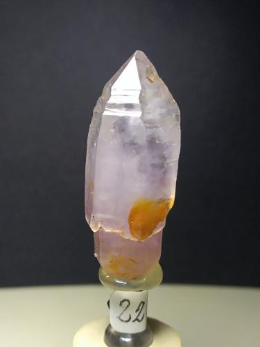 Quartz (variety scepter amethystine)<br />Vetulonia, Castiglione della Pescaia, Grosseto Province, Tuscany, Italy<br />34 x 15 mm<br /> (Author: Sante Celiberti)
