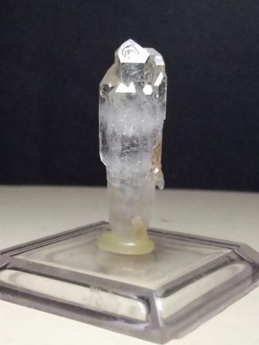 Quartz (variety scepter)<br />Fenice Capanne Mine, Massa Marittima, Grosseto Province, Tuscany, Italy<br />42 x 11 mm<br /> (Author: Sante Celiberti)