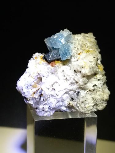 Hauyne, Magnetite, Zircon<br />Case Collina (Toscopomici Quarry), Pitigliano, Grosseto Province, Tuscany, Italy<br />26 x 23 mm<br /> (Author: Sante Celiberti)