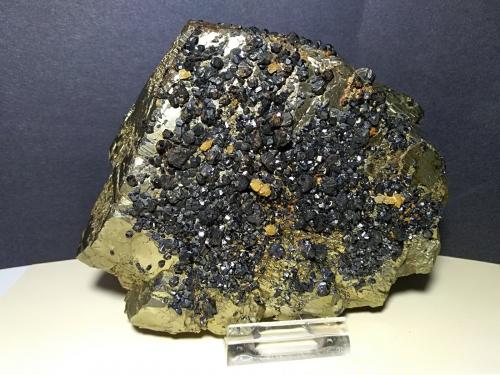 Pyrite, Sphalerite, Dolomite<br />Gavorrano Mine, Gavorrano, Grosseto Province, Tuscany, Italy<br />12,5 x 10 cm<br /> (Author: Sante Celiberti)