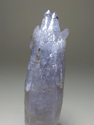 Quartz (variety scepter)<br />Fenice Capanne Mine, Massa Marittima, Grosseto Province, Tuscany, Italy<br />62 x 16 mm<br /> (Author: Sante Celiberti)