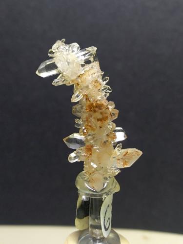 Quartz<br />Mina La Selva, Casal di Pari, Civitella-Paganico, Provincia Grosseto, Toscana, Italia<br />29 x 15 mm<br /> (Author: Sante Celiberti)