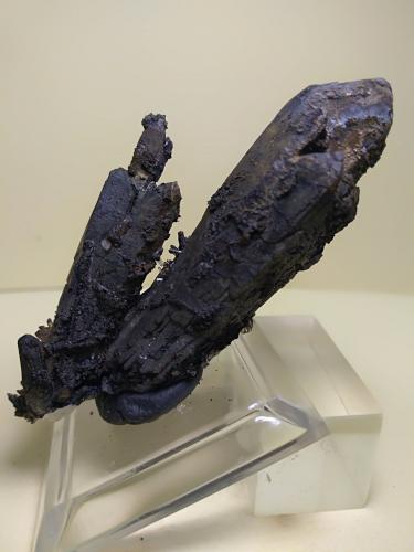 Quartz (variety scepter), manganese oxides<br />Campiglia Marittima, Campigliese, Livorno Province, Toscana, Italy<br />66 32 mm<br /> (Author: Sante Celiberti)
