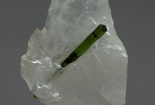 Elbaita (variedad verdelita)<br />Taquaral, Itinga, Vale do Jequitinhonha, Minas Gerais, Brasil<br />cristal 60 mm<br /> (Autor: Ramon A  Lopez Garcia)