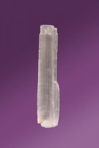 Gypsum<br />Cauca Department, Colombia<br />22mm x 102mm x 5mm<br /> (Author: Firmo Espinar)