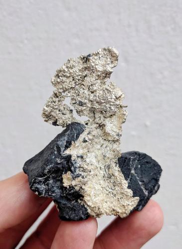 Plata<br />Imiter Mine, Jebel Saghro, Imiter District, Tinghir Province, Drâa-Tafilalet Region, Morocco<br />5,2 x 4,9 cm.<br /> (Autor: Carles)