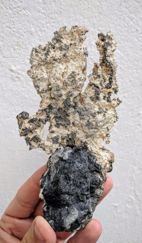 Plata<br />Imiter Mine, Jebel Saghro, Imiter District, Tinghir Province, Drâa-Tafilalet Region, Morocco<br />15,0 x 7,8 cm.<br /> (Autor: Carles)