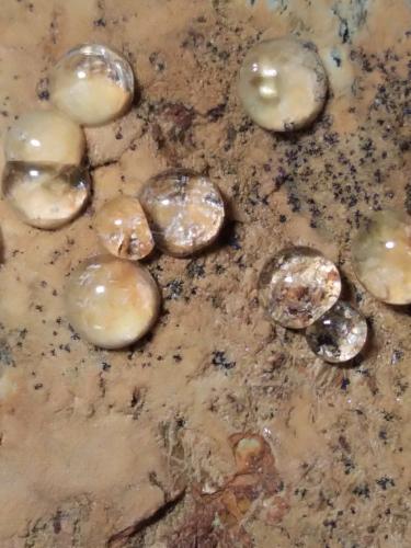 Melanophlogite<br />Fortullino, Rosignano Marittimo, Livorno Province, Tuscany, Italy<br />42,8 x 31,7 mm<br /> (Author: Sante Celiberti)