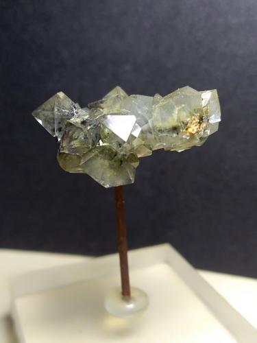 Quartz<br />Abbadia San Salvatore Mine, Amiata Mountain, Abbadia San Salvatore, Siena Province, Tuscany, Italy<br />23 x 17 mm<br /> (Author: Sante Celiberti)