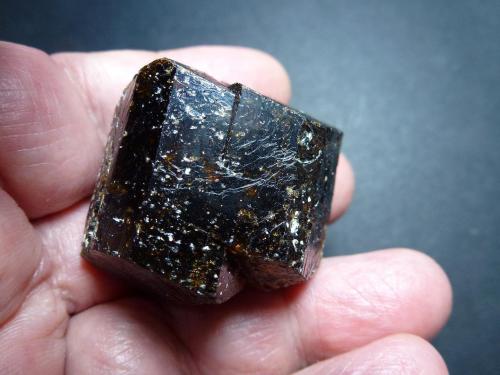 Dravita (Grupo Turmalina)<br />Yinnietharra Station, Yinnietharra, Condado Upper Gascoyne, Australia Occidental, Australia<br />5 x 4 cm.<br /> (Autor: javier ruiz martin)