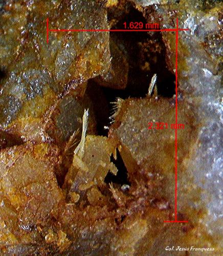 Piromorfita y Fluorita.<br />Minas Can Magre, Vidreres, Comarca La Selva, Gerona / Girona, Cataluña / Catalunya, España<br />2´321 x 1´629 mm.<br /> (Autor: Jesus Franquesa Baucells)