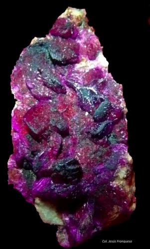 Calcita (variedad cobaltífera)<br />Distrito Kolwezi, Lualaba, Cinturón de cobre de Katanga, Katanga (Shaba), República Democrática del Congo (Zaire)<br />65x35 mm.<br /> (Autor: Jesus Franquesa Baucells)