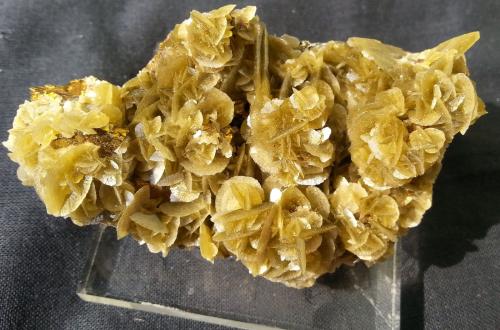 Siderite on Chalcopyrite<br />Mina Kaiwu, Hezhang, Prefectura Bijie, Provincia Guizhou, China<br />7 x 4 cm<br /> (Author: Volkmar Stingl)
