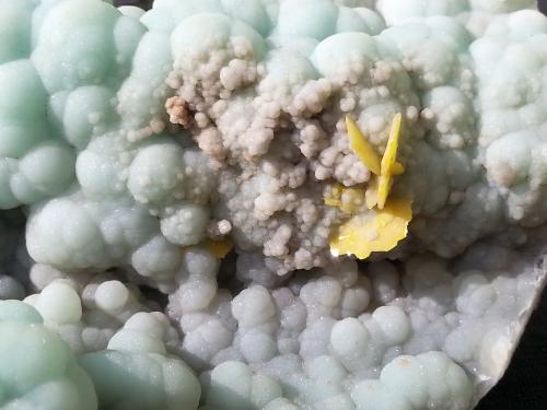 Gibbsite, Wulfenite<br />Baoshan Prefecture, Yunnan Province, China<br />11 x 9 cm<br /> (Author: Volkmar Stingl)
