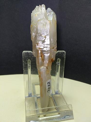 Quartz (variety scepter)<br />Fenice Capanne Mine, Massa Marittima, Grosseto Province, Tuscany, Italy<br />97 x 23 mm<br /> (Author: Sante Celiberti)