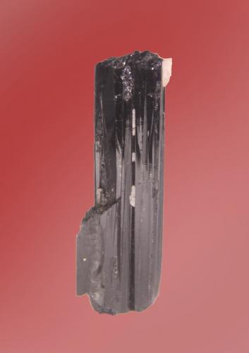 Schorl<br />Santander Department, Colombia<br />20mm x 64mm x 7mm<br /> (Author: Firmo Espinar)