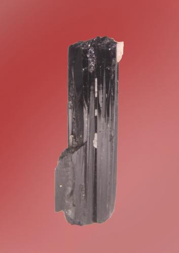 Schorl<br />Departamento Santander, Colombia<br />20mm x 64mm x 7mm<br /> (Author: Firmo Espinar)