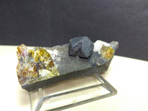 Galena, Sphalerite<br />Campo di Sasso, Maremma, Bibbona, Livorno Province, Tuscany, Italy<br />58 x 19 mm<br /> (Author: Sante Celiberti)