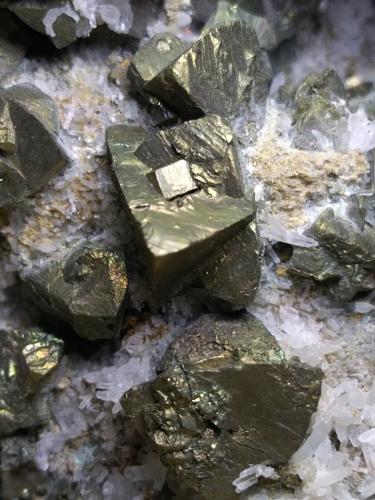 Calcopirita, Cuarzo<br />Fenice Capanne Mine, Massa Marittima, Grosseto Province, Tuscany, Italy<br />140 x 94 mm<br /> (Autor: Sante Celiberti)
