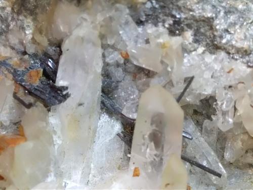 Meneghinita, Cuarzo<br />Bottino Mine, Sant'Anna (Sant'Anna di Stazzema), Apuan Alps, Stazzema Municipality, Lucca Province, Tuscany, Italy<br />45 x 33 mm<br /> (Autor: Sante Celiberti)