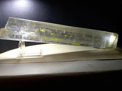 Gypsum, Sulphur<br />Mina Niccioleta, Massa Marittima, Provincia Grosseto, Toscana, Italia<br />35 x 6 cm<br /> (Author: Sante Celiberti)