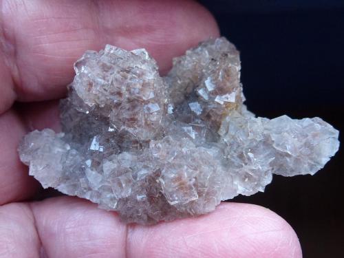 Fluorita<br />Moscona Mine, El Llano, Solís, Corvera de Asturias, Comarca Avilés, Principality of Asturias (Asturias), Spain<br />5 x 3 cm.<br /> (Autor: javier ruiz martin)