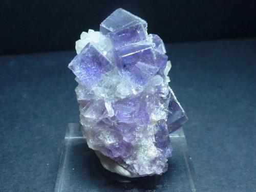 Fluorita, Cuarzo<br />La Cabaña, Valdelmar, zona minera de Berbes, Berbes, Ribadesella, Comarca Oriente, Principado de Asturias (Asturias), España<br />4,5 x 2 cm.<br /> (Autor: javier ruiz martin)