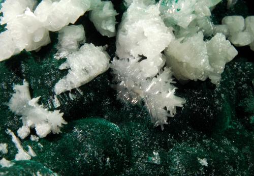 Cerussite on Malachite<br />Palabanda, M'Fouati District, Bouenza Department, Republic of the Congo<br />5.6 cm x 7.0 cm<br /> (Author: Michael Shaw)