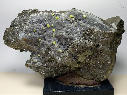 Pyrite, Sulphur<br />Mina Niccioleta, Massa Marittima, Provincia Grosseto, Toscana, Italia<br />20 x 11 cm<br /> (Author: Sante Celiberti)