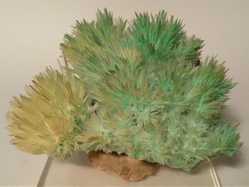 Gypsum, Chrysocolla inclusions<br />Boccheggiano Mines, Montieri, Grosseto Province, Tuscany, Italy<br />10 x 9 cm<br /> (Author: Sante Celiberti)
