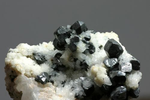 Acanthita (Acantita)<br />San Juan de Rayas Mine, Guanajuato, Municipio Guanajuato, Mexico<br />35x28 mm<br /> (Autor: Ramon A  Lopez Garcia)