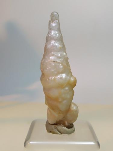Ópalo (variedad fiorita)<br />Castel del Piano (Amiata Mountain), Grosseto Province, Tuscany, Italy<br />58 x 18 mm<br /> (Autor: Sante Celiberti)