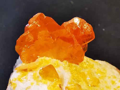 Wulfenite<br />Les Dalles Mine (Lidal Mine), Mibladen mining district, Mibladen, Midelt, Midelt Province, Drâa-Tafilalet Region, Morocco<br />2 cm x 3 cm<br /> (Author: Enrique Llorens)