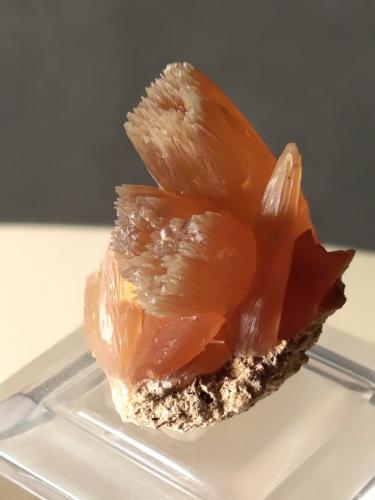 Calcite<br />Sovanella Quarry, Sovana, Sorano, Grosseto Province, Tuscany, Italy<br />28 x 24 mm<br /> (Author: Sante Celiberti)