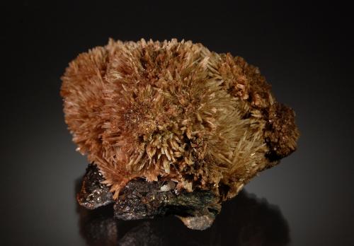Calcite on Sphalerite<br />Minerva I Mine, Ozark-Mahoning group, Cave-in-Rock Sub-District, Hardin County, Illinois, USA<br />5.8 cm x 7.7 cm<br /> (Author: Michael Shaw)