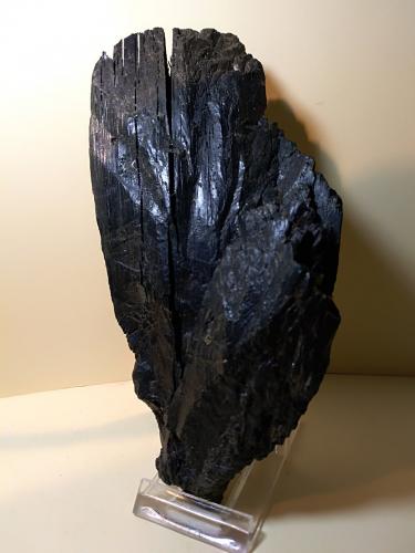 Vivianite<br />Santa Barbara Mine, Cavriglia, Valdarno (Val d'Arno), Arezzo Province, Tuscany, Italy<br />17 x 8 cm<br /> (Author: Sante Celiberti)