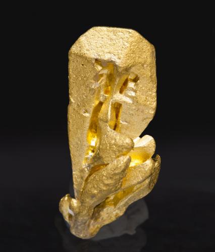 Gold<br />Uriman, Bolívar State, Venezuela<br />1.3 × 0.5 × 0.5 cm<br /> (Author: Jordi Fabre)