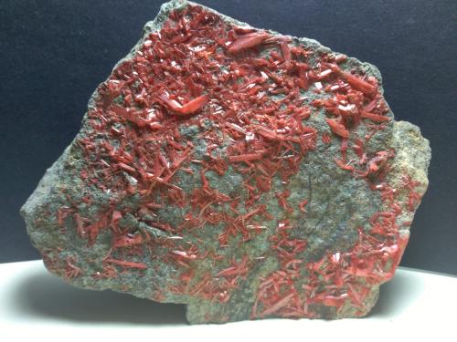 Crocoite<br />Callenberg, Zwickau, Saxony/Sachsen, Germany<br />16 x 11 cm<br /> (Author: Sante Celiberti)