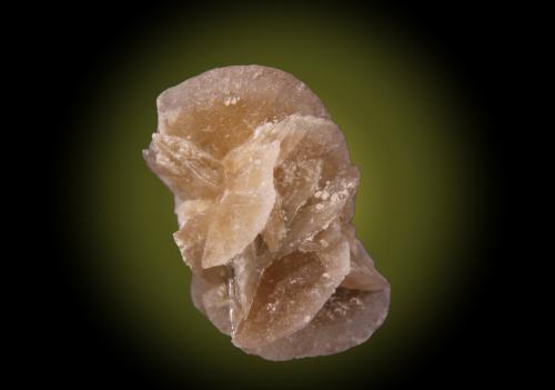 Gypsum<br />Villalbilla, Comarca Cuenca del Henares, Community of Madrid, Spain<br />35mm x 50mm x 30mm<br /> (Author: Firmo Espinar)