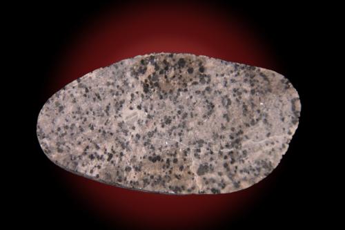 Sodalite<br />Lake Superior, Keweenaw County, Michigan, USA<br />65mm x 35mm x 25mm<br /> (Author: Firmo Espinar)