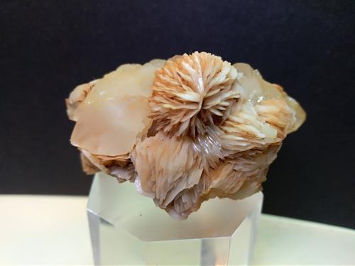 Baryte, Quartz<br />Argentiera di Sant'Anna Mines, Sant'Anna (Sant'Anna di Stazzema), Apuan Alps, Stazzema Municipality, Lucca Province, Tuscany, Italy<br />55 x 33 mm<br /> (Author: Sante Celiberti)
