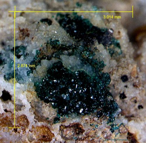 Paratacamita.<br />Sierra del Cabo de Gata, Níjar, Comarca Metropolitana de Almería, Almería, Andalucía, España<br />3´014 x 2´874<br /> (Autor: Jesus Franquesa Baucells)