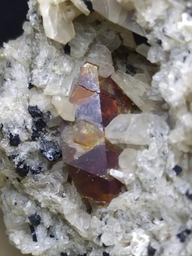 Titanite, Sanidine<br />Case Collina (Toscopomici Quarry), Pitigliano, Grosseto Province, Tuscany, Italy<br />57 x 41 mm<br /> (Author: Sante Celiberti)