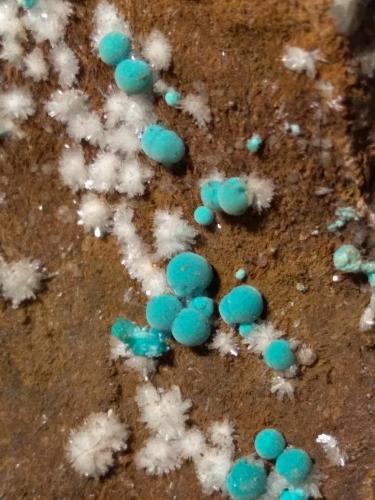 Rosasite, Hemimorphite<br />Campiglia Marittima, Campigliese, Livorno Province, Toscana, Italy<br />9,5 x 5 cm<br /> (Author: Sante Celiberti)