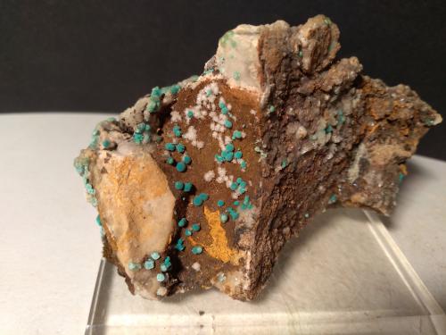 Rosasite, Hemimorphite<br />Campiglia Marittima, Campigliese, Provincia Livorno, Toscana, Italia<br />9,5 x 5 cm<br /> (Author: Sante Celiberti)