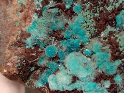 Aurichalcite, Rosasite<br />Campiglia Marittima, Campigliese, Livorno Province, Toscana, Italy<br />10,5 x 6 cm<br /> (Author: Sante Celiberti)