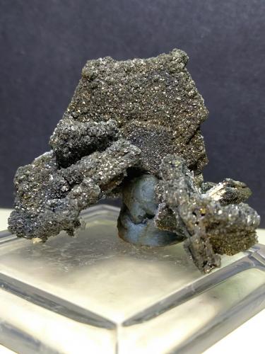 Pyrrhotite, Pyrite<br />Mina Niccioleta, Massa Marittima, Provincia Grosseto, Toscana, Italia<br />34 x 27 mm<br /> (Author: Sante Celiberti)
