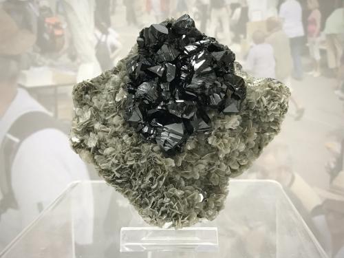 Cassiterite on Muscovite<br />Mount Xuebaoding, Pingwu, Mianyang Prefecture, Sichuan Province, China<br />Specimen size: 8.7 x 8.33.5 cm / main crystal size: 2 x 1.3 cm<br /> (Author: Jordi Fabre)